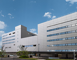 Tổng quan tập đoàn